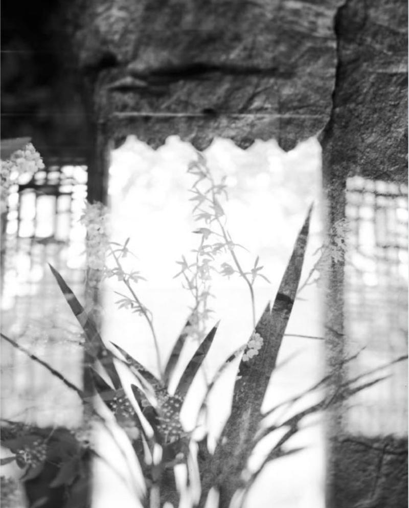 周仰，摄影作品，选自《不朽的林泉》，2016-2021年