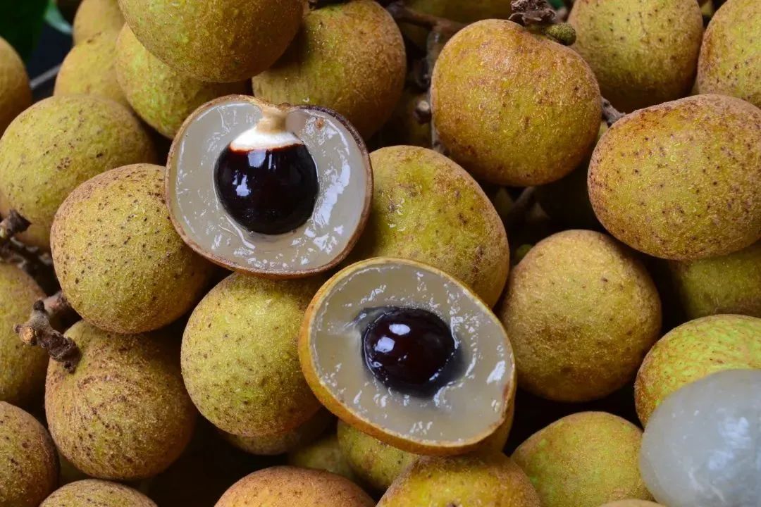 30年老树龙眼今年的第一颗龙眼竟然这么甜