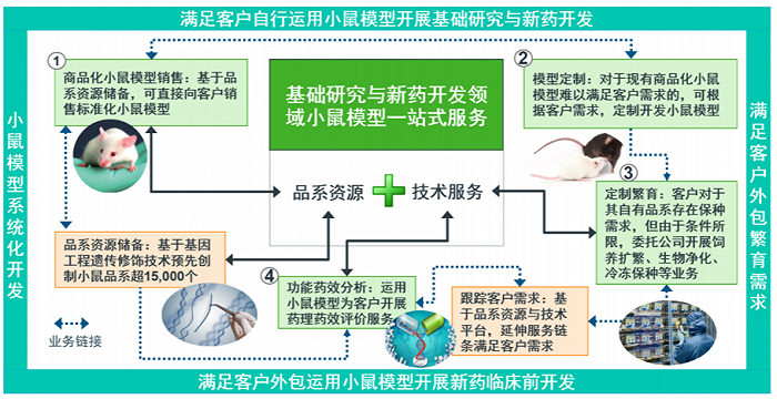 图片来源：集萃药康申报稿