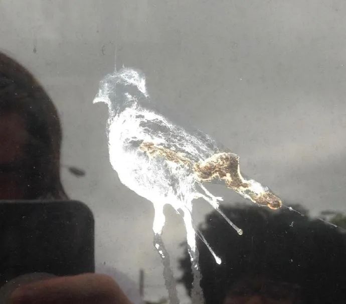 所谓屎似主人样这鸟拉个屎都比我画的好