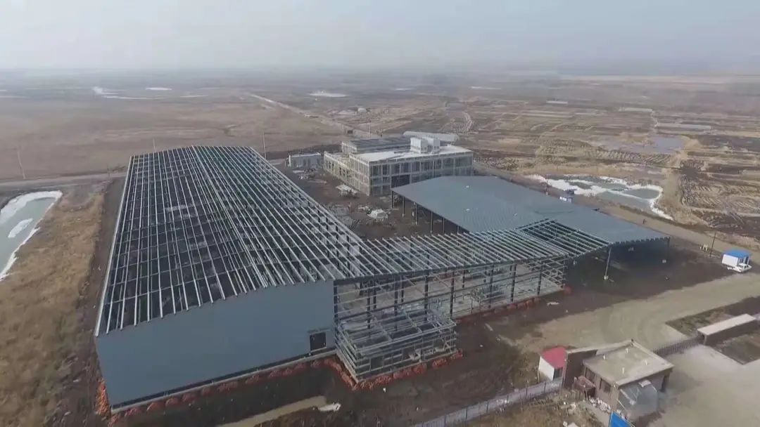 绥棱县新穗农产品加工有限公司经理姚亮亮介绍