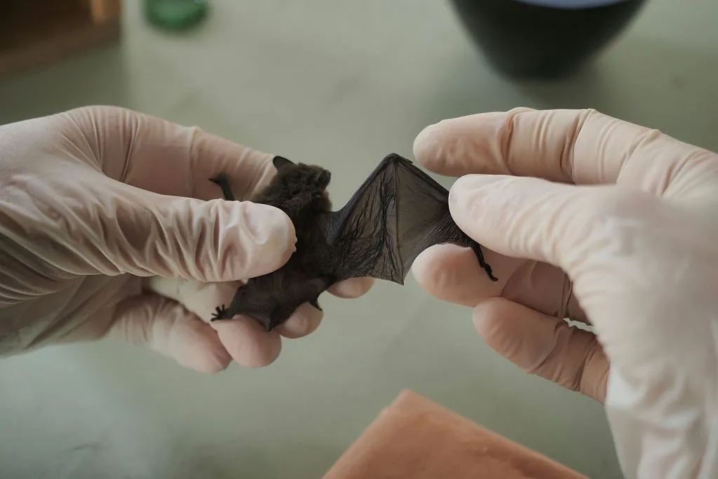 7月12日休闲区蓝鸢梦想 - Www.slyday.coM