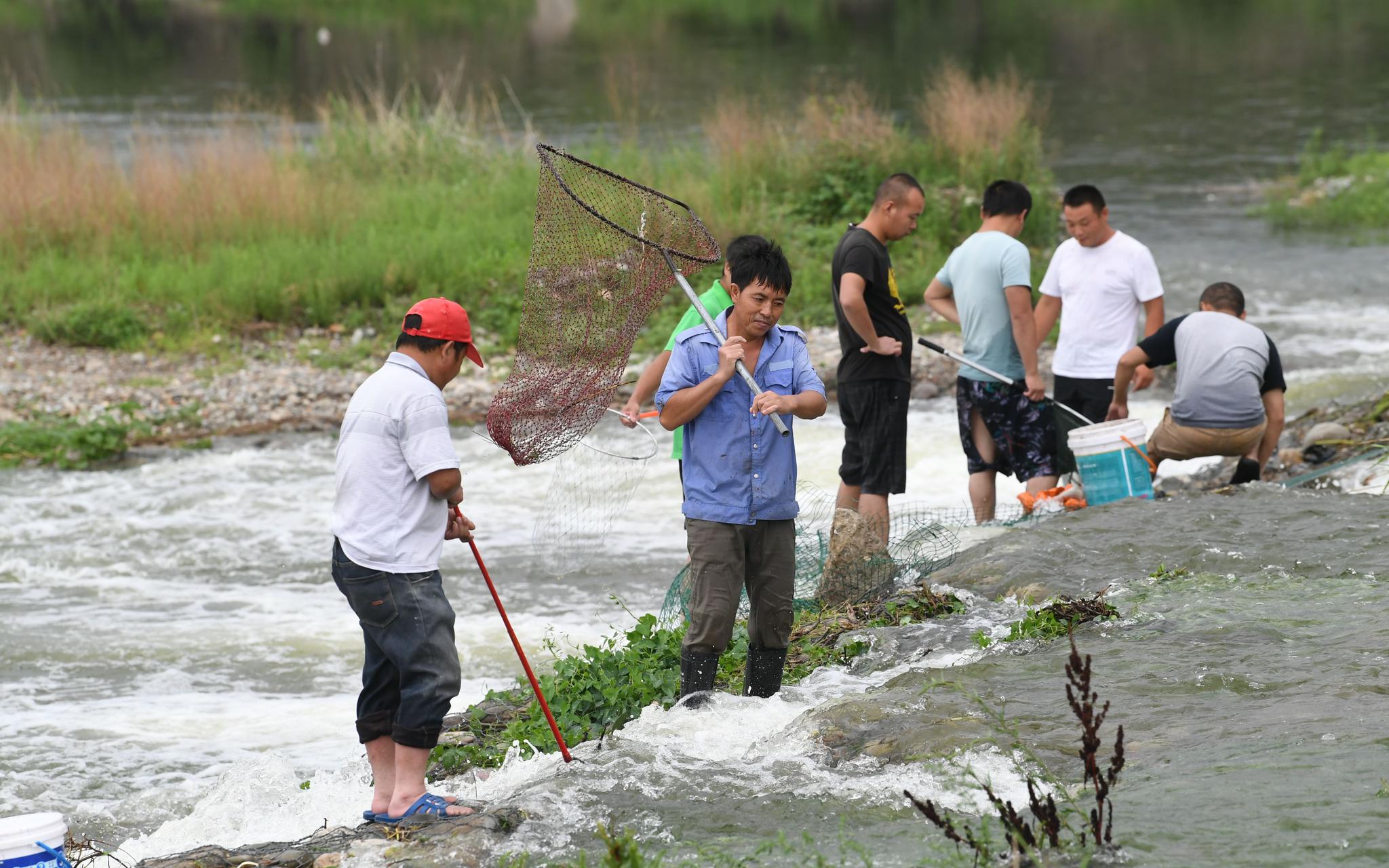 雨后河边 市民危险戏水