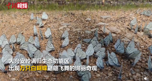 7月12日休闲区蓝鸢梦想 - Www.slyday.coM