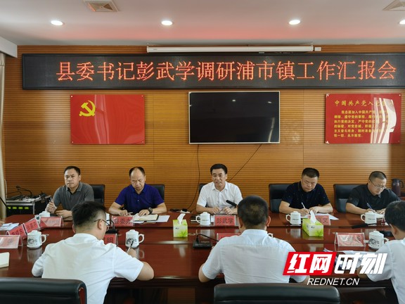 彭武学到武溪镇,浦市镇调度乡村振兴等重点工作