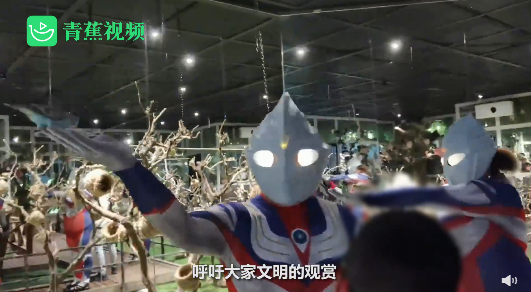 7月12日休闲区蓝鸢梦想 - Www.slyday.coM