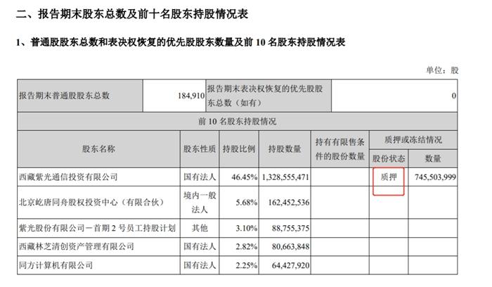 西藏紫光通信投资有限公司在紫光股份中的过半股权被质押。紫光股份2021年一季度财报截图。