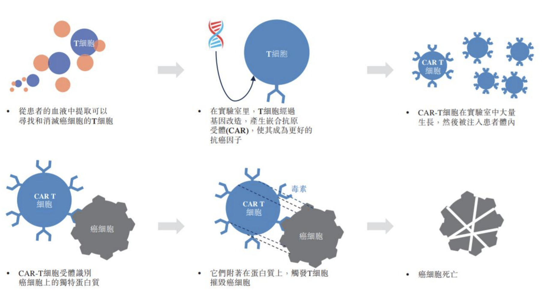 “国内首款CAR-T药来袭 哪些药企值得特别关注？