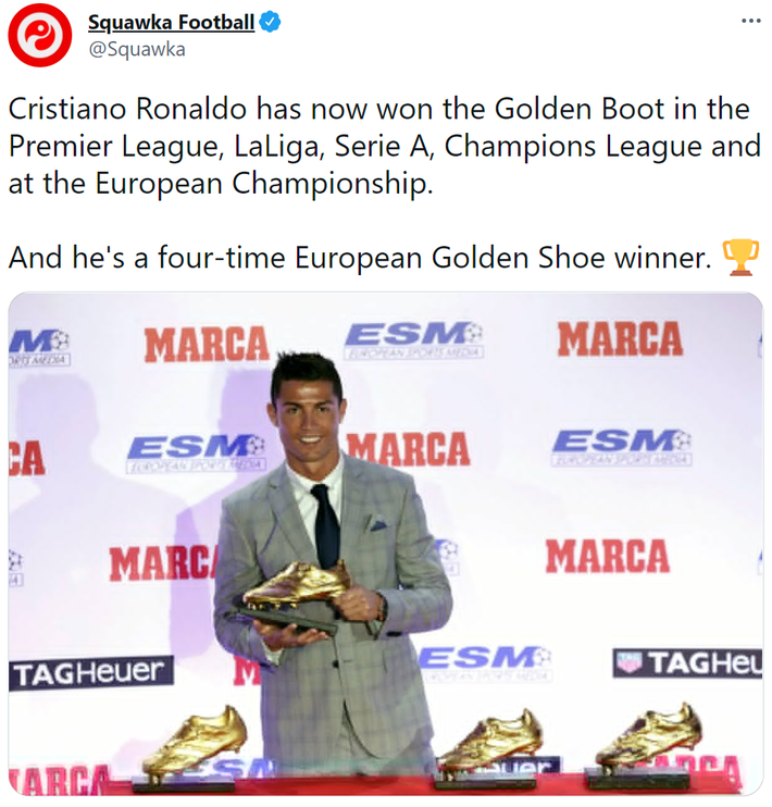 西甲,意甲,欧冠和欧洲杯五项不同赛事的金靴,不仅如此,他还4度被评为