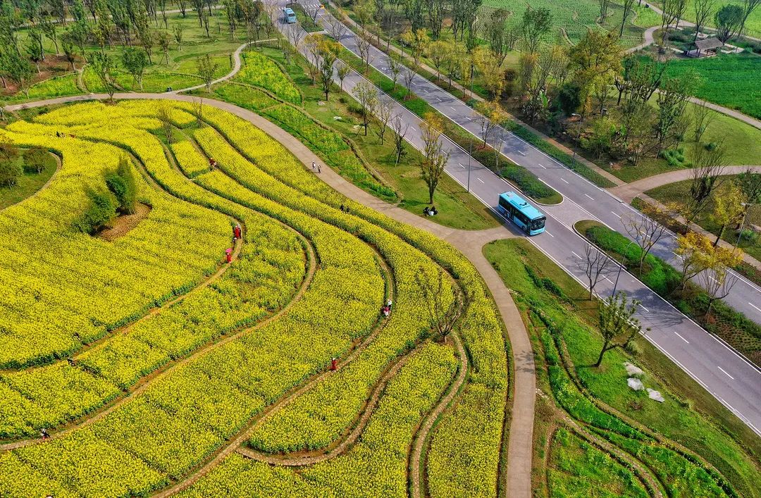 这,就是广阳岛智创生态城!