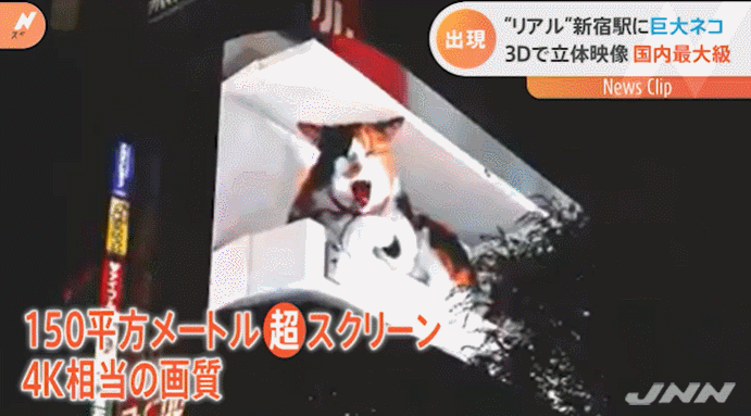 ▲富士电视台报道截图