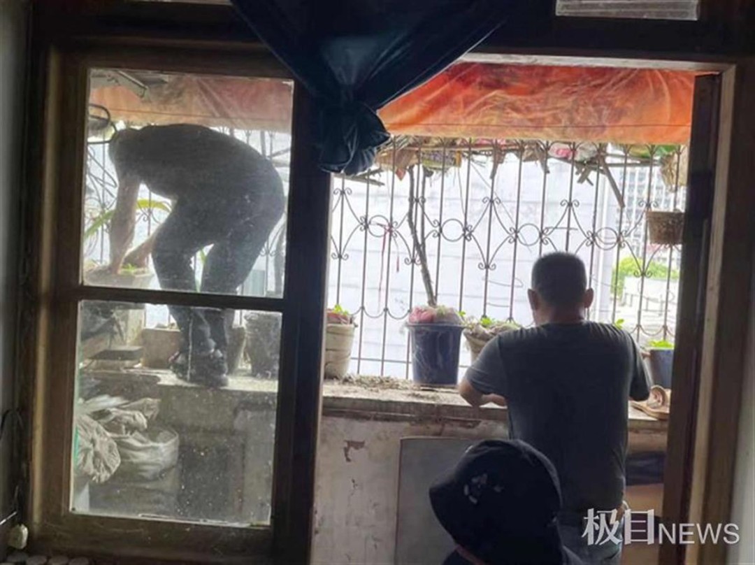 武汉一房屋空置6年，阳台上竟长出2棵大树！休闲区蓝鸢梦想 - Www.slyday.coM