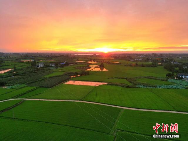 地处江汉平原的枝江在晚霞照耀下更加迷人.陈黄奎 摄