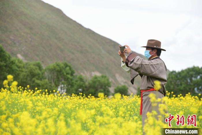 图为一位村民在油菜花海里拍视频。贡嘎来松 摄