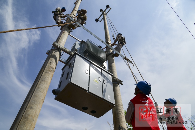 金华:新装增容变压器 让鸭子住上"空调房"