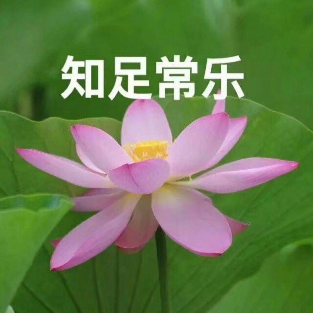 爷青回曾被iphone干掉的手机今天正式复活