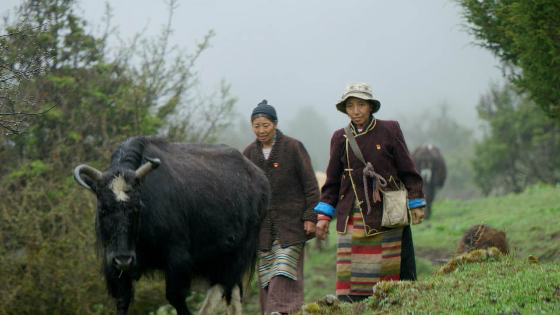 全球连线|小康印记系列·卓嘎的新家