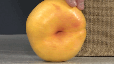 400_225gif 动态图 动图