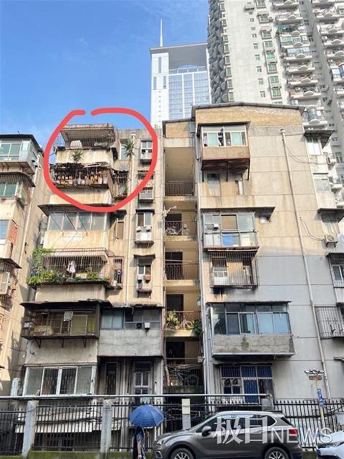 武汉一房屋空置6年，阳台上竟长出2棵大树！休闲区蓝鸢梦想 - Www.slyday.coM