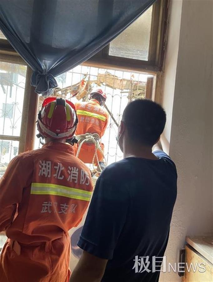 武汉一房屋空置6年，阳台上竟长出2棵大树！休闲区蓝鸢梦想 - Www.slyday.coM