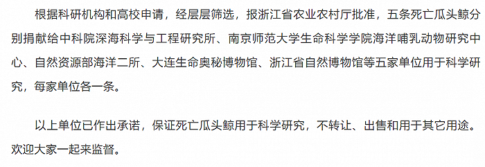 浙江临海：在头门港搁浅死亡的瓜头鲸将分别捐献给五家单位用于科学研究