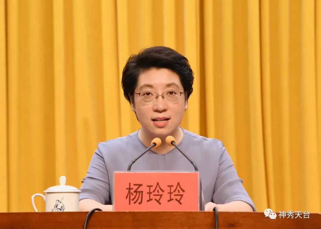 天台县召开政法队伍教育整顿总结会暨"回头看"动员部署会|杨玲玲_新浪