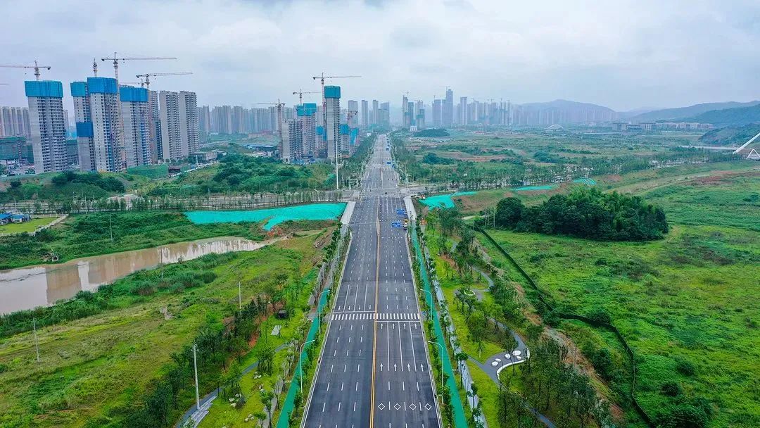 通车后的梅溪湖国际新城核心区城市主干路——雪松路.