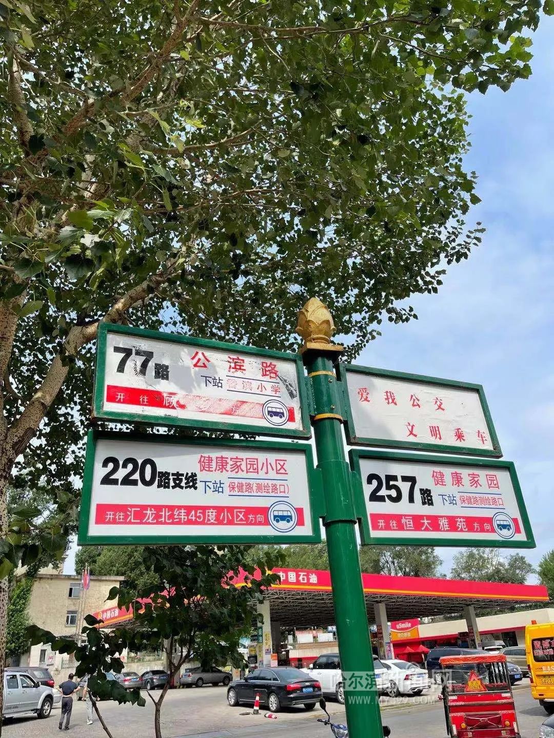公交线路设站牌没有车,有车没站牌……丨健康家园公交站,站牌bug有点