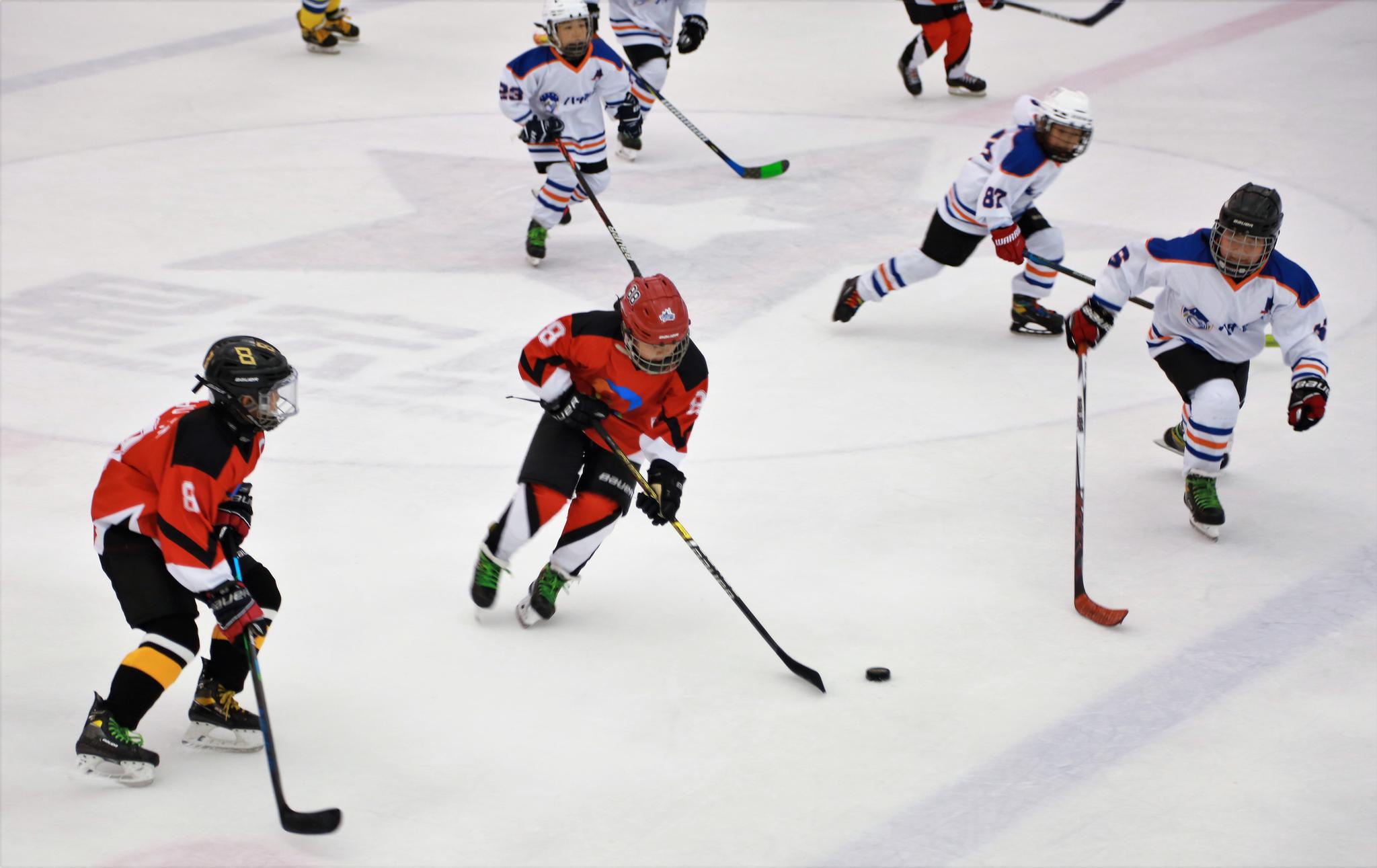 西城区中小学生冰球联赛开幕|体育局|冰球|奥运_新浪新闻