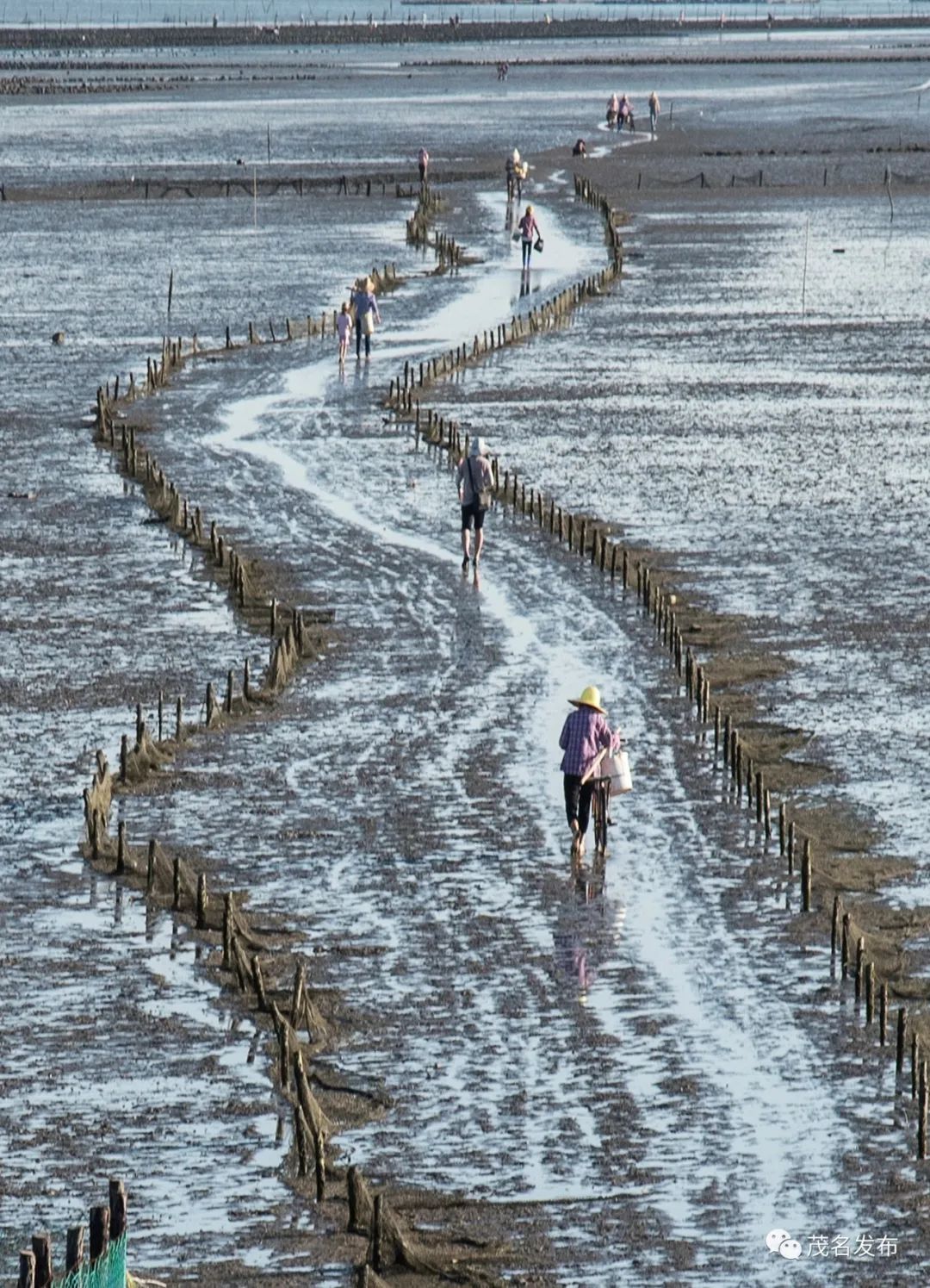 这个夏天来茂名赶海去