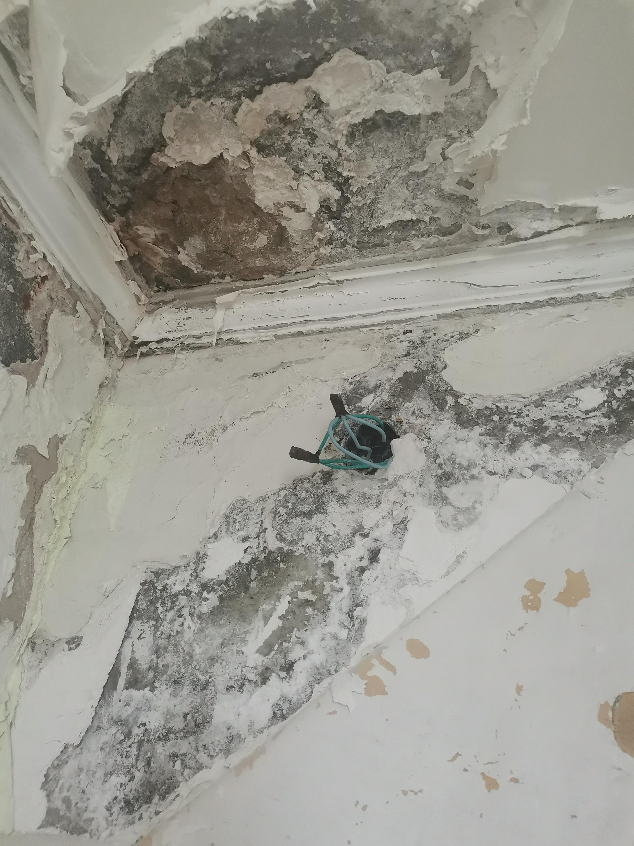 安贞西里18号楼顶层住户家天花板被渗水腐蚀.受访者供图