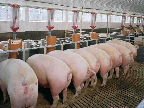 四川省2017年上半年gdp_2021上半年各省GDP排行,湖北同比增速全国第一!