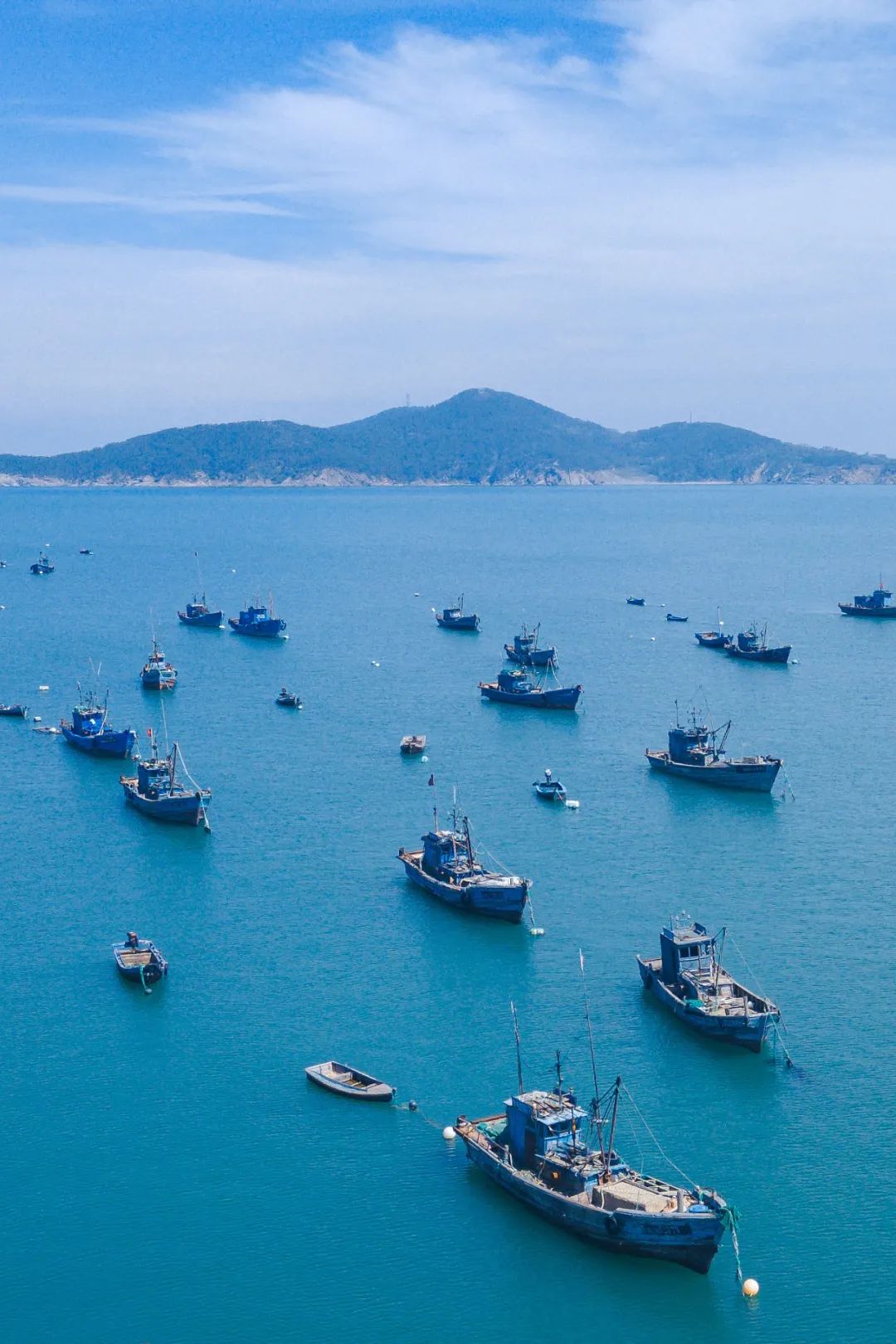 面朝大海,千帆竞发.