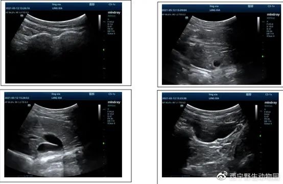 299H,COMDISEASE,CNDZYS,COM