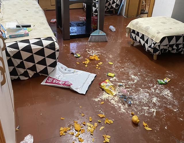 女子开门发现一片狼藉,"猴哥"不但不跑,反而更嚣张了|猴哥|女士|新闻