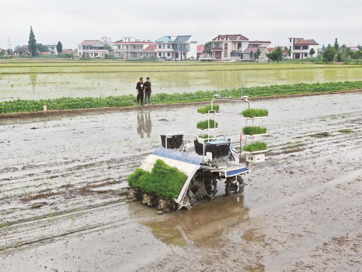 无人驾驶插秧机亮相作业