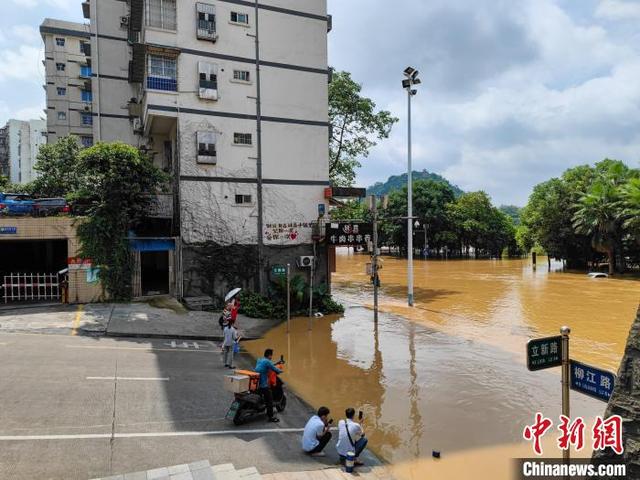 超警洪峰过境广西柳州，民众淡定围观。 王以照 摄