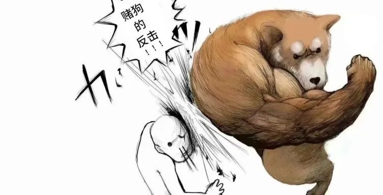 被赌博网站掏空后，一只老赌狗决定反击_新浪财经_新浪网