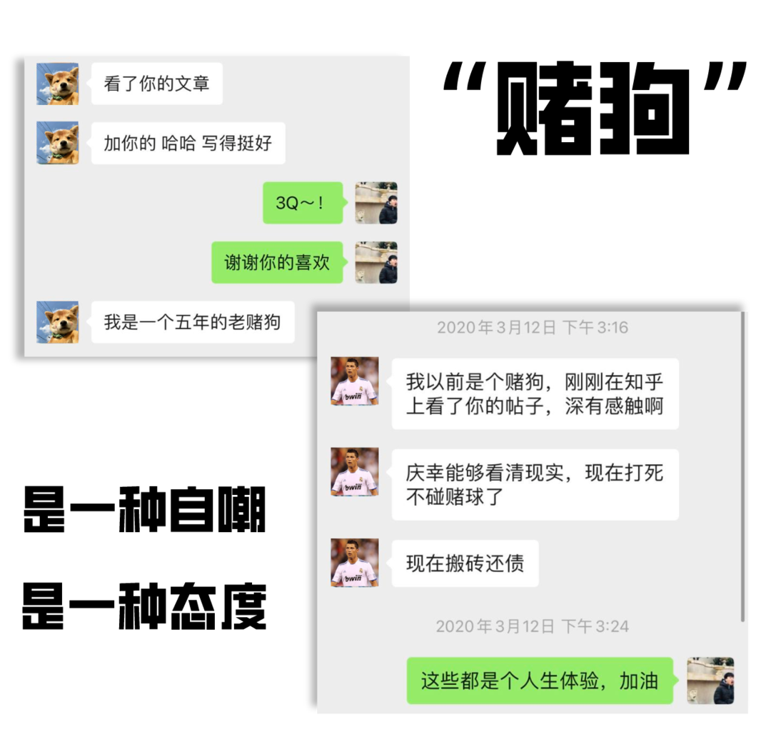被赌博网站掏空后，一只老赌狗决定反击_新浪财经_新浪网