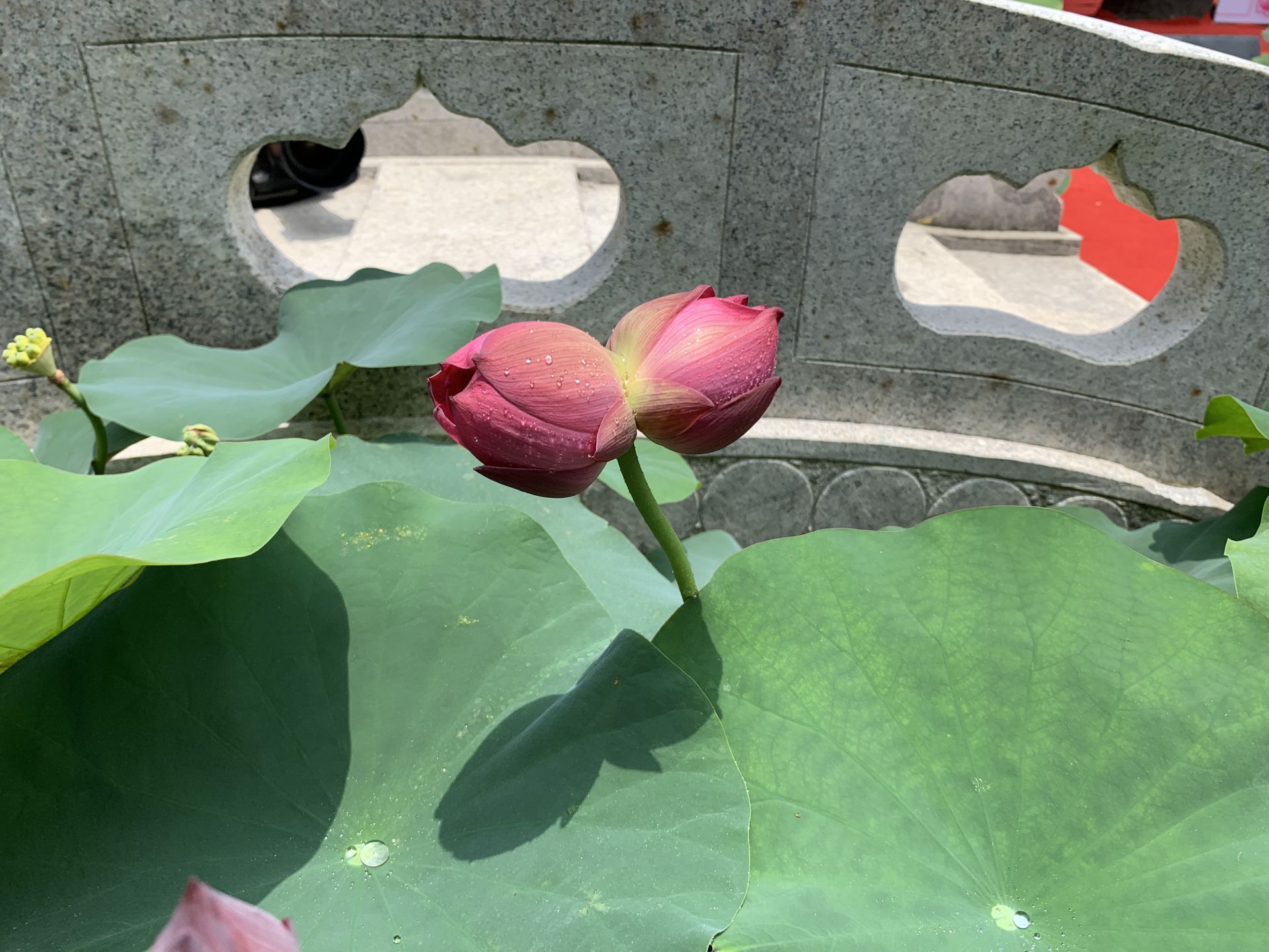 上海,中国红·井冈山,中国红·瑞金,中国红·韶山,中国红·西柏坡等