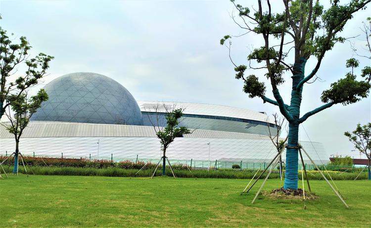 毗邻上海天文馆，上海最大的海绵公园7月中旬免费开放