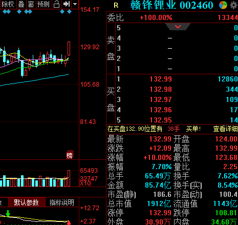 “盐湖提锂概念大涨：赣锋锂业获深股通和机构大幅买入 两条主线优选标的