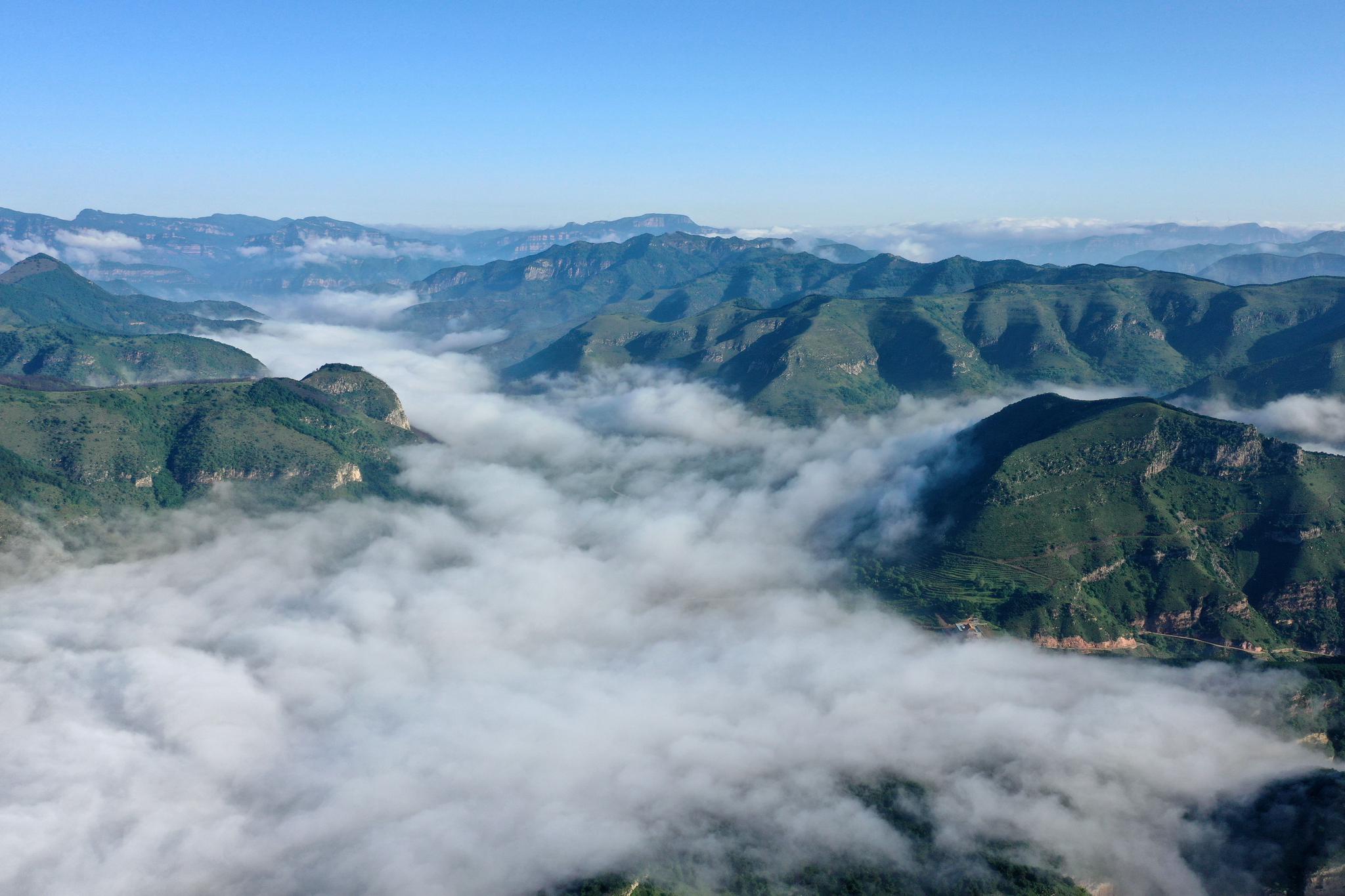 云雾在绿意盎然的峰林间飘荡.山峦与云海交相辉映,美若画卷.