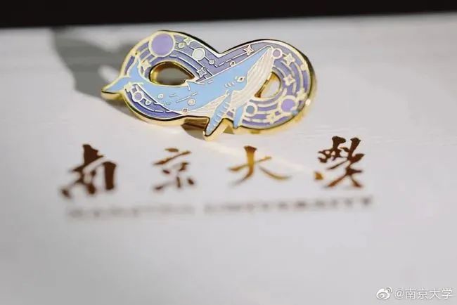 南京大学录取通知书附赠无限大符号的徽章