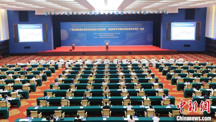 广西加快少数民族聚居区发展 实施新时代兴边富民行动 - Vimarsana News