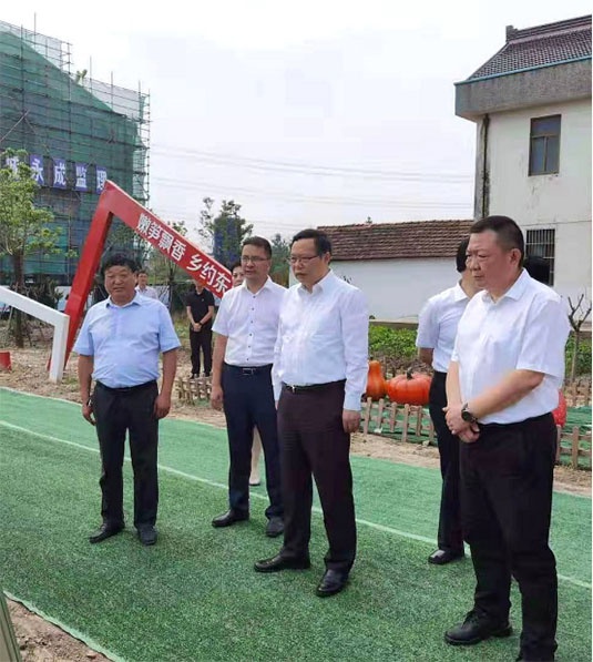 南通市委领导徐惠民与通州区委书记陈永红调研东平村