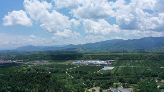 宁夏西海固: 山川梁峁尽披绿装|银川市|李东|宁夏回族自治区_新浪新闻
