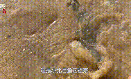 这群人一上班就划水摸鱼老板不仅不管还发工资