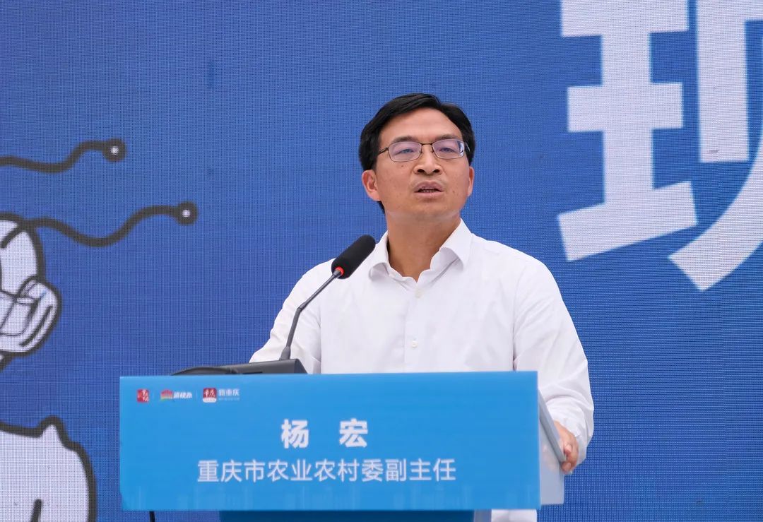 市农业农村委副主任杨宏回答问题&nbsp; 李昊东 摄