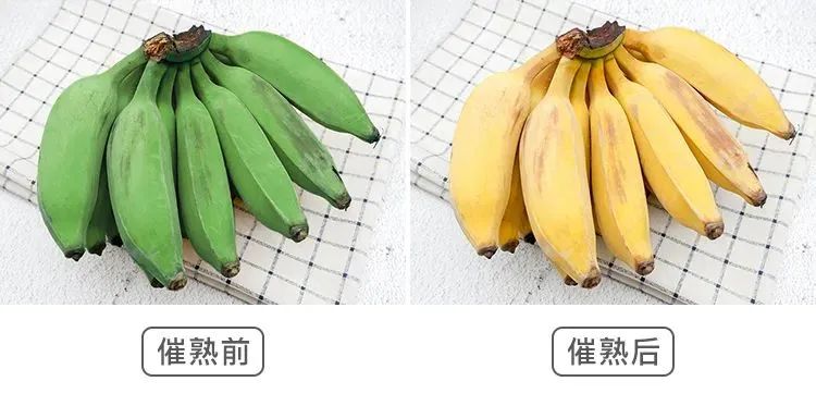 一年有望寄出超千万件小镇上的广西小米蕉火了